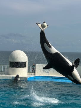 鴨川シーワールドに投稿された画像（2025/6/14）