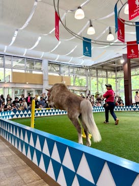 ノーザンホースパークに投稿された画像（2025/6/14）