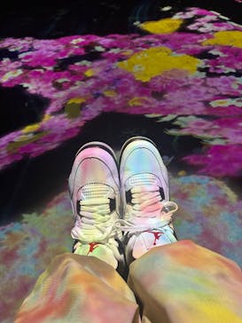 チームラボフォレスト 福岡 - SBI証券に投稿された画像（2025/6/14）