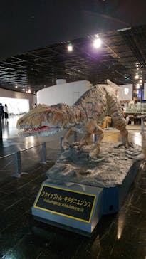 福井県立恐竜博物館に投稿された画像（2025/6/14）