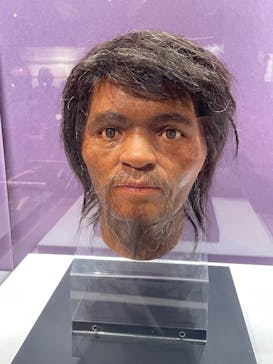 特別展「古代DNA－日本人のきた道」（国立科学博物館）に投稿された画像（2025/6/14）