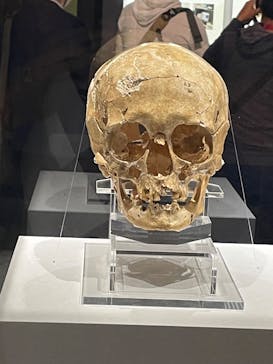 特別展「古代DNA－日本人のきた道」（国立科学博物館）に投稿された画像（2025/6/14）