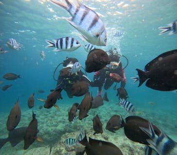 沖縄マリンサービス碧に投稿された画像（2025/6/14）