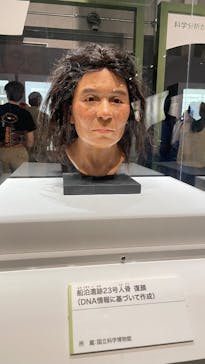 特別展「古代DNA－日本人のきた道」（国立科学博物館）に投稿された画像（2025/6/14）
