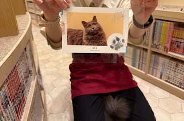 猫カフェモカ　イオンモール筑紫野店に投稿された画像（2025/6/14）