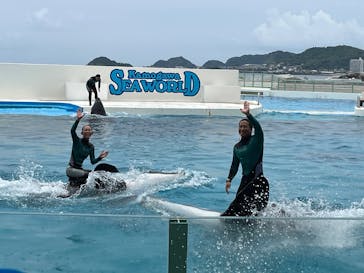 鴨川シーワールドに投稿された画像（2025/6/14）