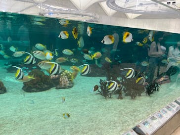 鴨川シーワールドに投稿された画像（2025/6/14）