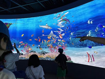 鴨川シーワールドに投稿された画像（2025/6/14）