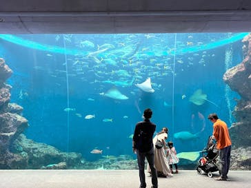 鴨川シーワールドに投稿された画像（2025/6/14）