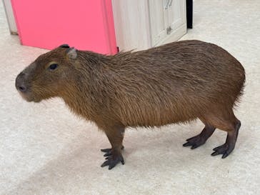 アニタッチ MARK IS 静岡に投稿された画像（2025/6/14）