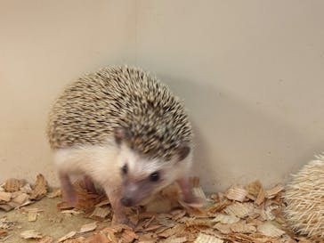 アニタッチ MARK IS 静岡に投稿された画像（2025/6/14）