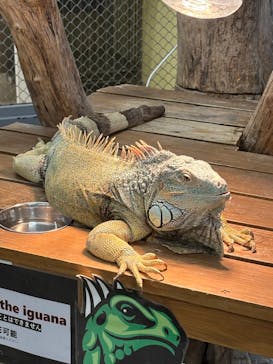 アニタッチ MARK IS 静岡に投稿された画像（2025/6/14）