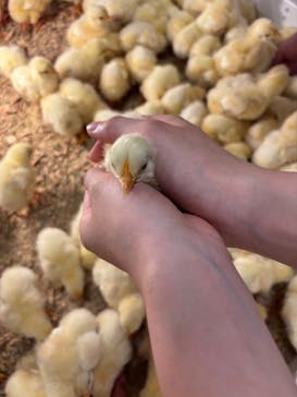 アニタッチ MARK IS 静岡に投稿された画像（2025/6/14）