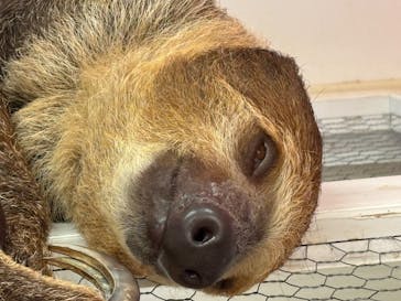 アニタッチ MARK IS 静岡に投稿された画像（2025/6/14）