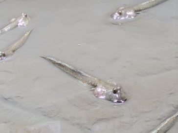 マリンワールド海の中道に投稿された画像（2025/6/14）