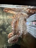 越前松島水族館に投稿された画像（2025/6/14）