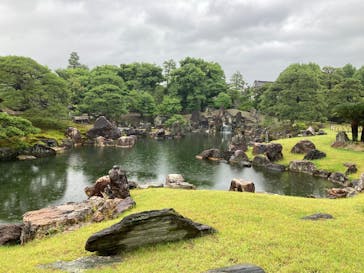 元離宮二条城に投稿された画像（2025/6/14）