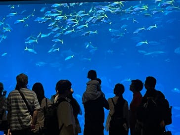 沖縄美ら海水族館に投稿された画像（2025/6/14）