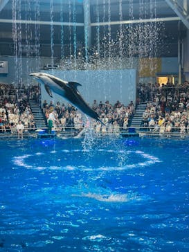 マクセル アクアパーク品川に投稿された画像（2025/6/14）