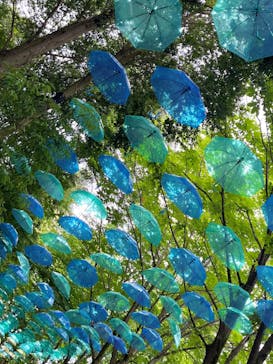 ムーミンバレーパークに投稿された画像（2025/6/14）