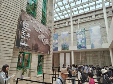 モネ　睡蓮のときに投稿された画像（2025/6/14）