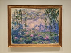 モネ　睡蓮のときに投稿された画像（2025/6/14）