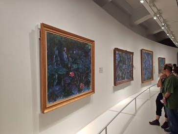 モネ　睡蓮のときに投稿された画像（2025/6/14）