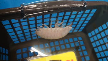 竹島水族館に投稿された画像（2025/6/14）