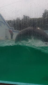 しながわ水族館に投稿された画像（2025/6/14）