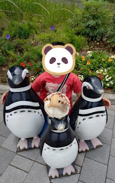 しながわ水族館に投稿された画像（2025/6/14）