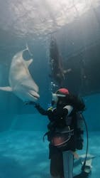 串本マリンセンターに投稿された画像（2025/6/14）