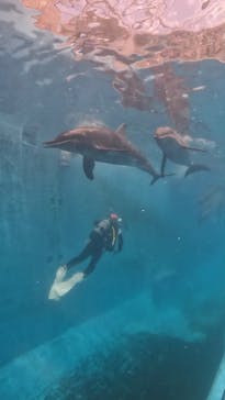 串本マリンセンターに投稿された画像（2025/6/14）