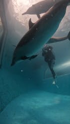 串本マリンセンターに投稿された画像（2025/6/14）