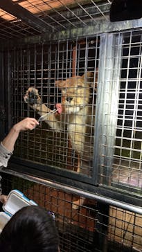 那須サファリパークに投稿された画像（2025/6/14）