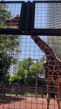 恩賜上野動物園に投稿された画像（2025/6/14）