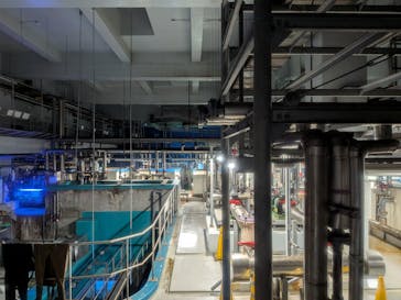 アクアワールド茨城県大洗水族館に投稿された画像（2025/6/14）