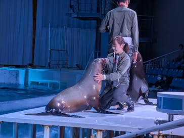 アクアワールド茨城県大洗水族館に投稿された画像（2025/6/14）