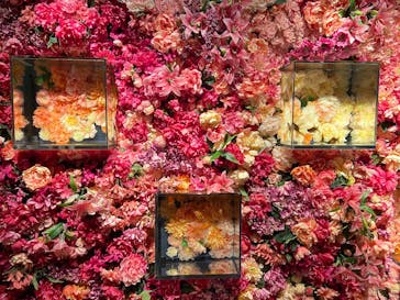 NARA KINGYO MUSEUMに投稿された画像（2025/6/14）