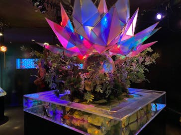 NARA KINGYO MUSEUMに投稿された画像（2025/6/14）