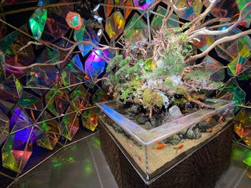 NARA KINGYO MUSEUMに投稿された画像（2025/6/14）