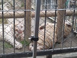 東武動物公園に投稿された画像（2025/6/14）