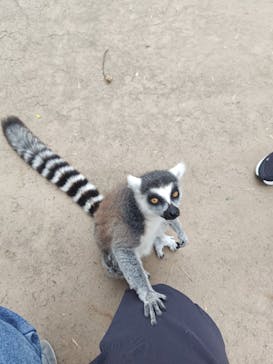 東武動物公園に投稿された画像（2025/6/14）