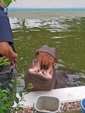 東武動物公園に投稿された画像（2025/6/14）