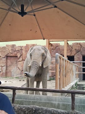 東武動物公園に投稿された画像（2025/6/14）