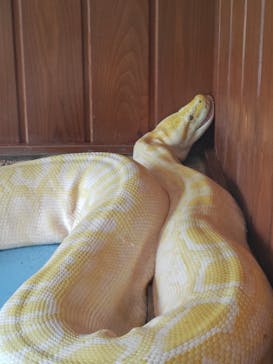 東武動物公園に投稿された画像（2025/6/14）