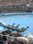 名古屋港水族館に投稿された画像（2025/6/14）
