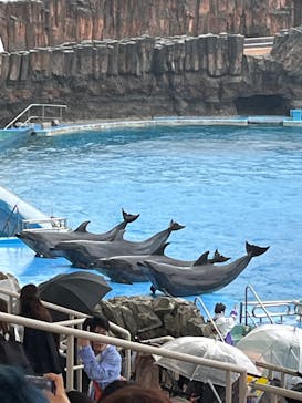 名古屋港水族館に投稿された画像（2025/6/14）