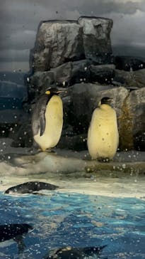 名古屋港水族館に投稿された画像（2025/6/14）