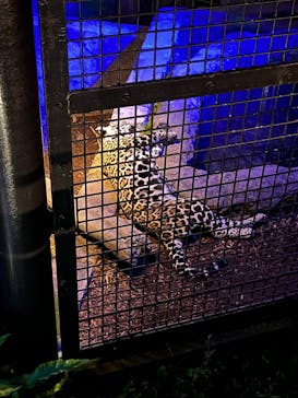 沖縄こどもの国に投稿された画像（2025/6/14）