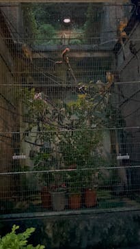 沖縄こどもの国に投稿された画像（2025/6/14）